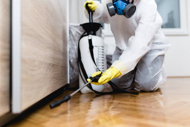 Best Best Pest Control Companies  in Robie Creek, ID