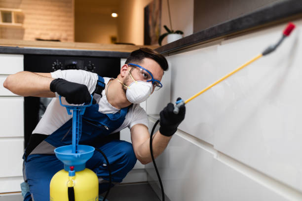 Best Commercial Pest Control Services  in Robie Creek, ID