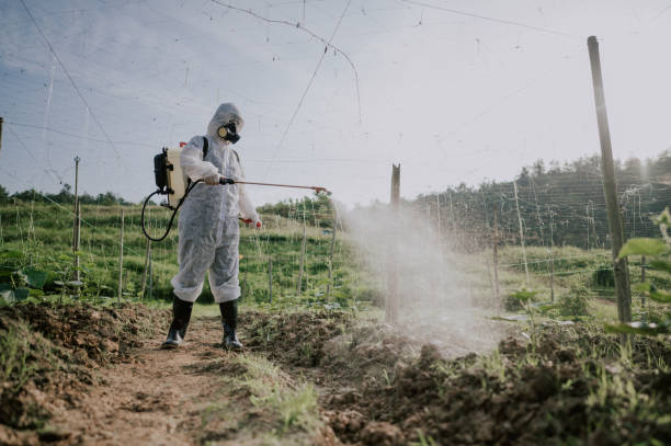 Best Ant Control Services  in Robie Creek, ID