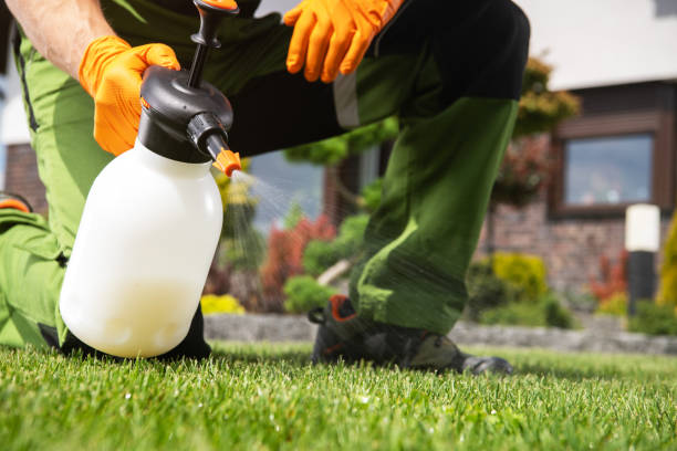 Best Termite Control Services  in Robie Creek, ID