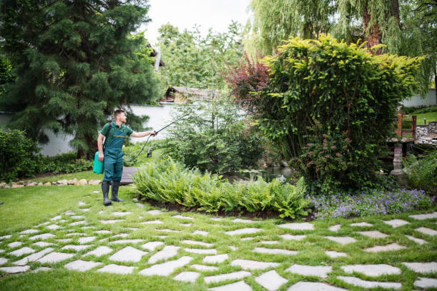 Best Pest Prevention Services  in Robie Creek, ID