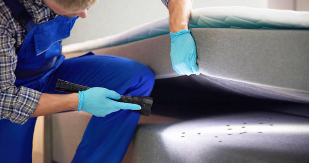 Best Local Pest Control Services  in Robie Creek, ID