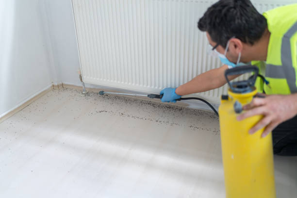 Best Pest Removal Services  in Robie Creek, ID