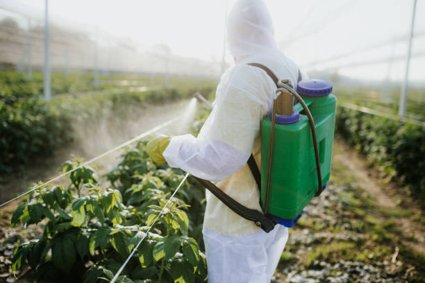 Best Bed Bug Extermination  in Robie Creek, ID